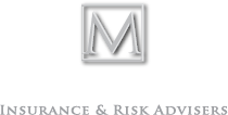 Megalines_Footer_logo