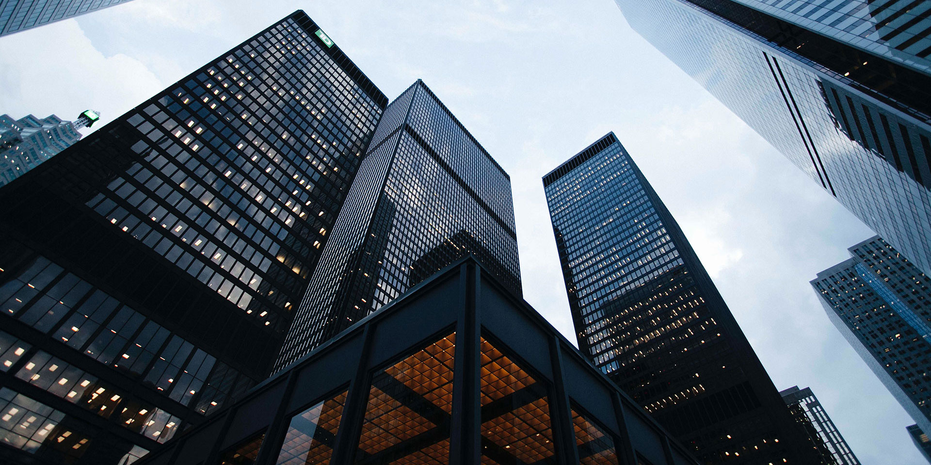 Professional Indemnity Insurance The Cladded Oxygen life support for